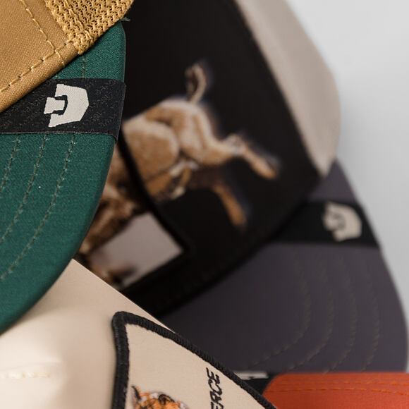 Cap Goorin - Migration - Pro - Fish - Amber / Guard