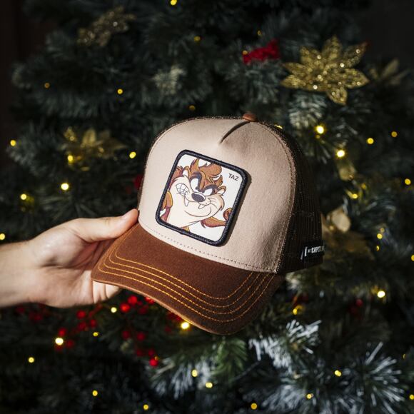 Capslab Trucker By Freegun (LOONEY TUNES) Taz Cap