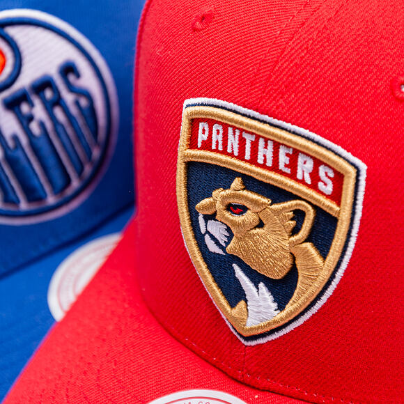 Mitchell & Ness - Florida Panthers - Team Ground 2.0 Pro Snapback - Red