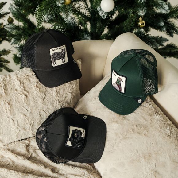 Goorin - The Homie Pigeon