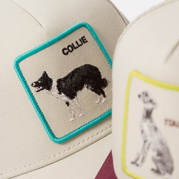 Cap Goorin - Shadow Border Collie - Scout