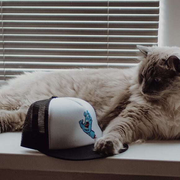 Santa Cruz Classic Hand Mesh Cap White/Black