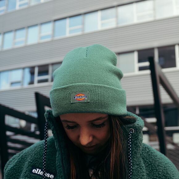 Dickies Gibsland Beanie C97