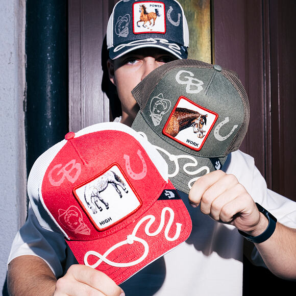 Goorin - Way Up - Trucker Cap