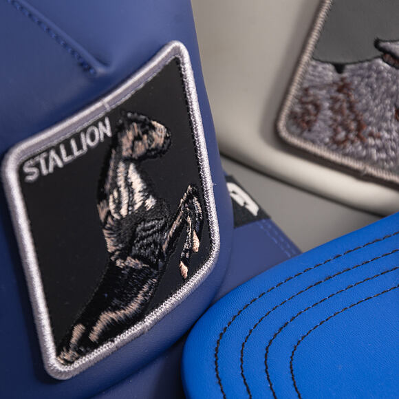 Cap Goorin - LFG Stallion - Royal