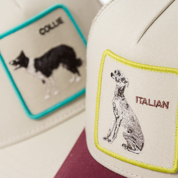 Cap Goorin - Shadow Italian Greyhound - Scout