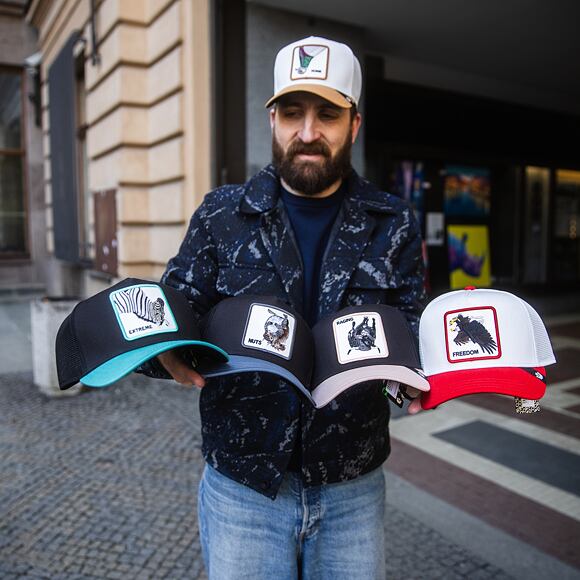 Cap Goorin - Upside Eagle - Dust / Rush