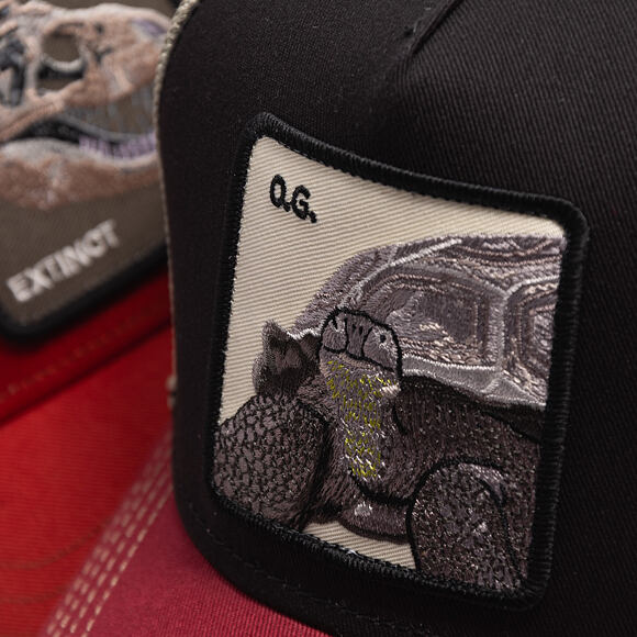 Cap Goorin - Tricolor Tortiouse - Multi Color