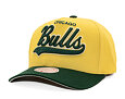 Kšiltovka Mitchell & Ness - Harvest Gold Pro Crown - Chicago Bulls - Gold/Green