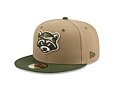 Cap New Era - MiLB Theme Nights 59FIFTY - Hudson Valley Renegades - Team Color