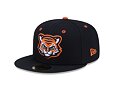 Cap New Era - MiLB Theme Nights 59FIFTY - Erie Sea Wolves