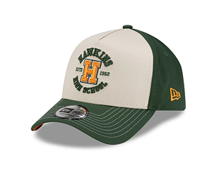 Cap New Era - Hawkings High 9FORTY A-Frame - Stranger Things - Green