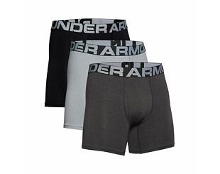 Under Armour Charged Cotton 6in 3 Pack Briefs