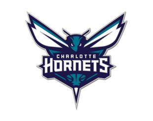 Pin WinCraft - NBA Collector Pin - Primary Logo - Charlotte Hornets