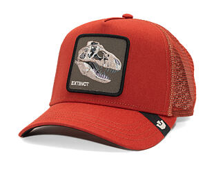 Cap Goorin - The Extinct Skull - Solar