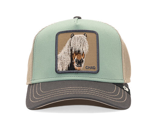 Cap Goorin - Tricolor Horse - Multi Color