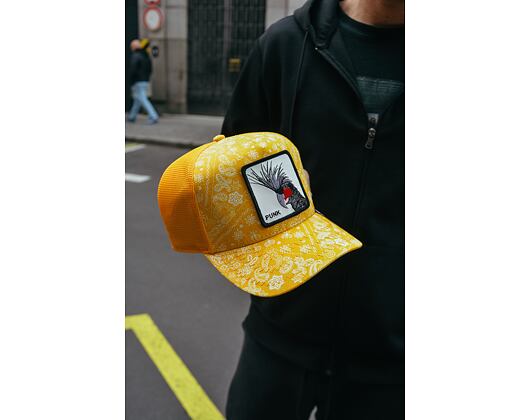 Kšiltovka Goorin - Spray Paint Arch Trucker - Yellow