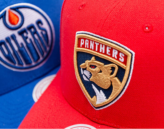 Mitchell & Ness - Florida Panthers - Team Ground 2.0 Pro Snapback - Red