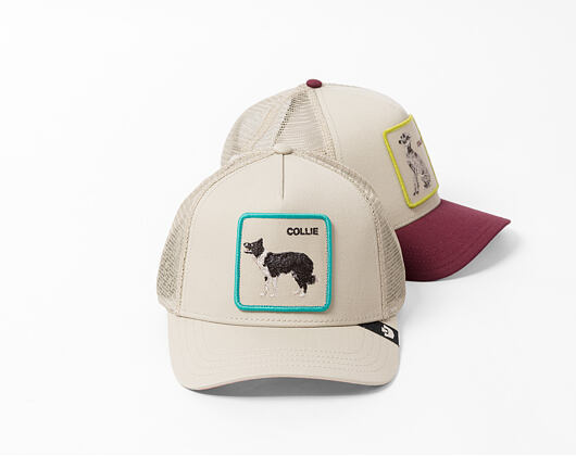 Cap Goorin - Shadow Border Collie - Scout