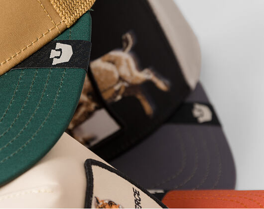 Cap Goorin - Migration - Fierce - Tiger - Wax / Clay
