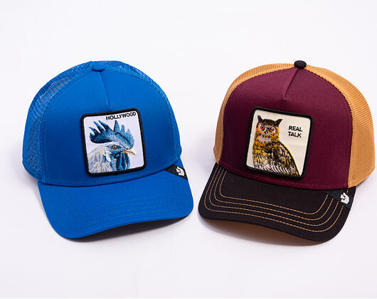 Goorin - Tricolor Owl