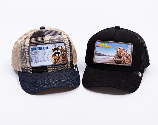 Kšiltovka Goorin - Free Spirited - Plaid