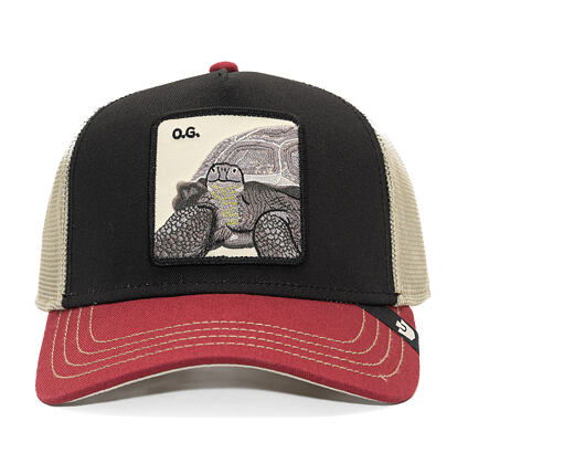 Cap Goorin - Tricolor Tortiouse - Multi Color