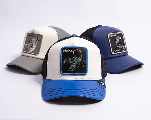 Cap Goorin - Courtside Deadly - Dust / Royal