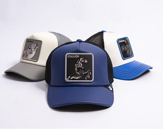 Cap Goorin - LFG Stallion - Royal