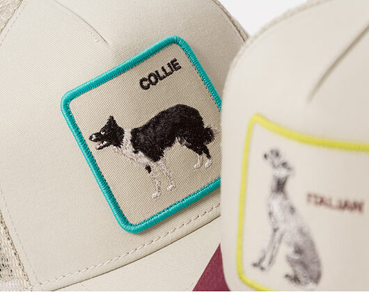 Cap Goorin - Shadow Border Collie - Scout