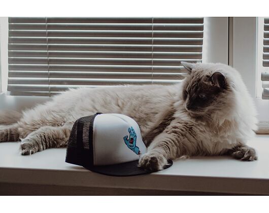 Santa Cruz Classic Hand Mesh Cap White/Black
