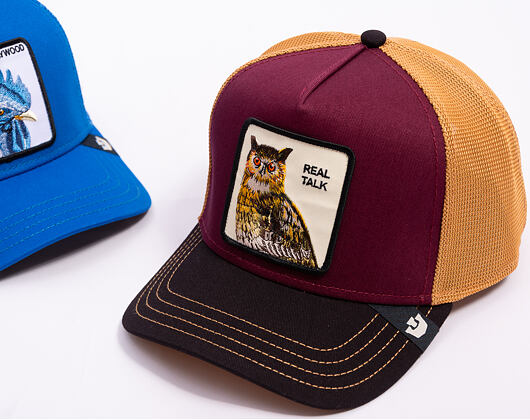 Goorin - Tricolor Owl