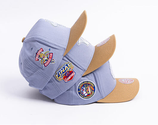 Cap Mitchell & Ness  - NHL Frosted Peak - Pro Pinch Snapback - Florida Panthers - Blue/Green