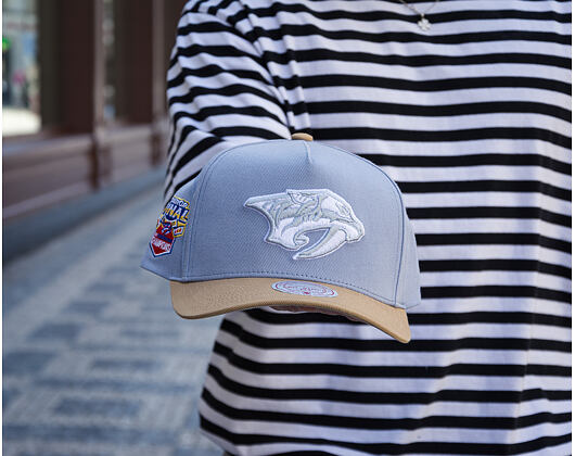 Cap Mitchell & Ness  - NHL Frosted Peak - Pro Pinch Snapback - Nashville Predators - Blue/Green