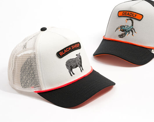 Cap Goorin - Pop Rocker Sheep - Platinum