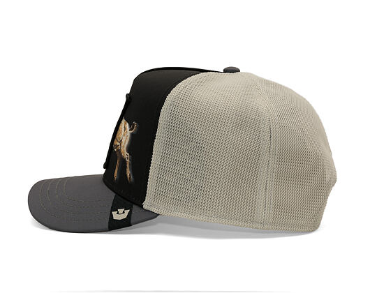 Cap Goorin - Migration - Banger - Ibex - Black / Digital