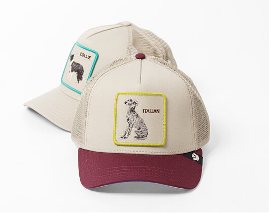 Cap Goorin - Shadow Italian Greyhound - Scout