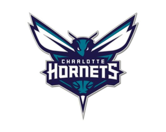 Pin WinCraft - NBA Collector Pin - Primary Logo - Charlotte Hornets
