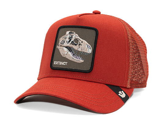 Cap Goorin - The Extinct Skull - Solar