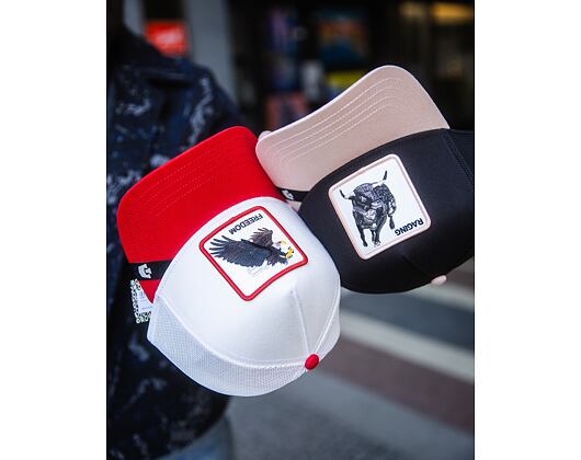 Cap Goorin - Upside Eagle - Dust / Rush