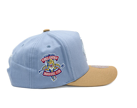 Cap Mitchell & Ness  - NHL Frosted Peak - Pro Pinch Snapback - Florida Panthers - Blue/Green