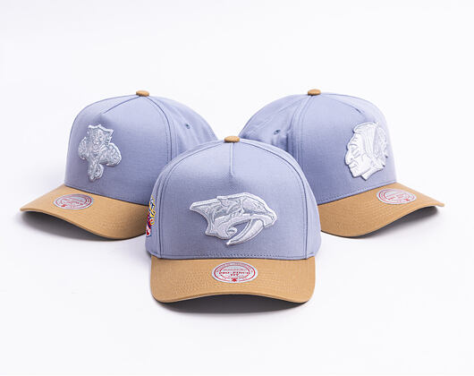 Cap Mitchell & Ness  - NHL Frosted Peak - Pro Pinch Snapback - Nashville Predators - Blue/Green