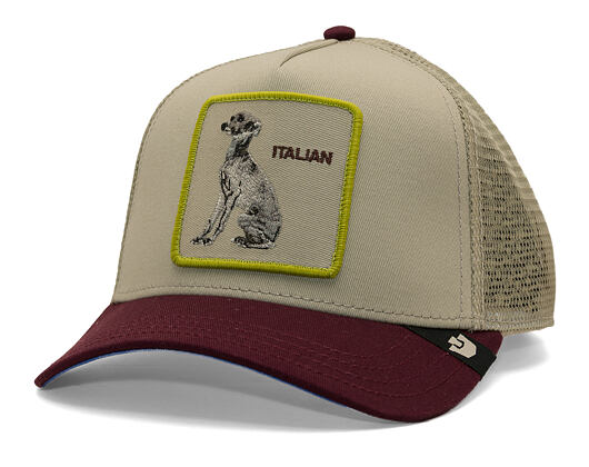 Cap Goorin - Shadow Italian Greyhound - Scout