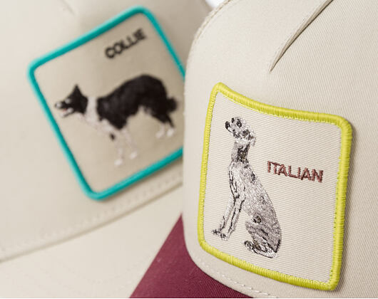 Cap Goorin - Shadow Italian Greyhound - Scout