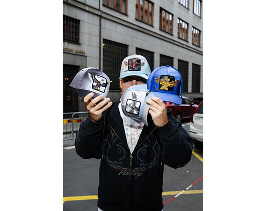 Goorin - Steal This Hat