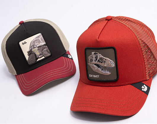 Cap Goorin - The Extinct Skull - Solar