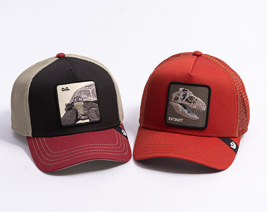 Cap Goorin - Tricolor Tortiouse - Multi Color