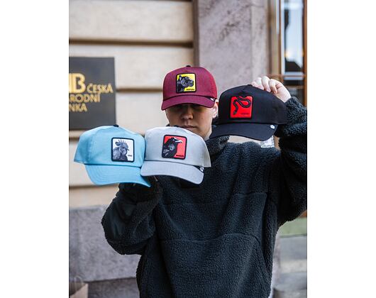 Cap Goorin - Next Gen Rooster - Tint