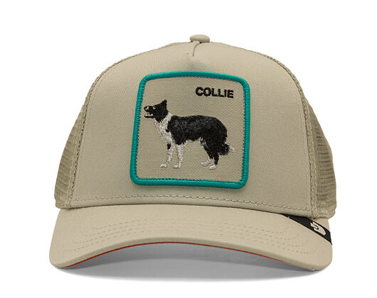 Cap Goorin - Shadow Border Collie - Scout