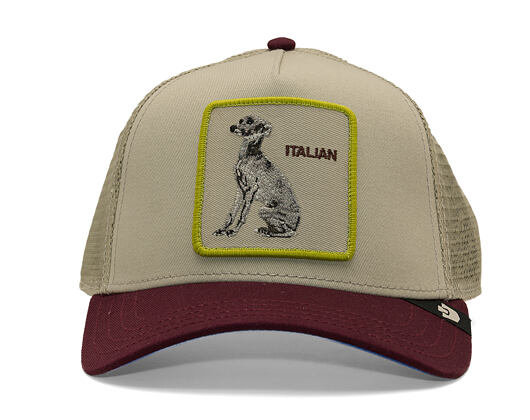 Cap Goorin - Shadow Italian Greyhound - Scout